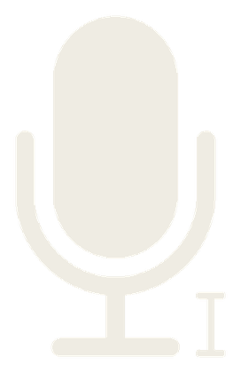 Voice to subtitles